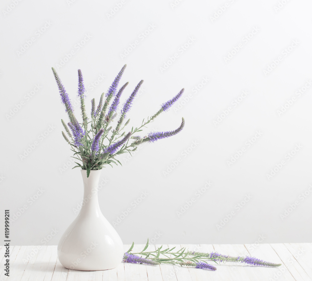 blue flowers in a vase on white background