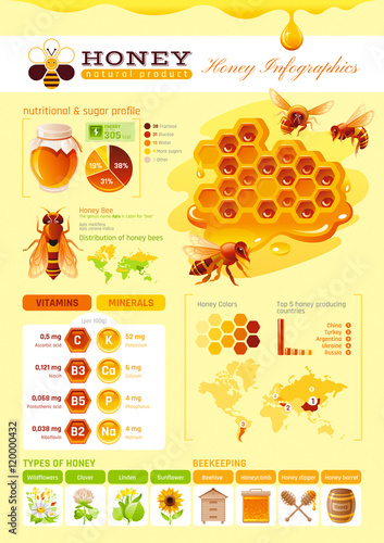 Bee honey logo icon with cartoon flat honeybee, text lettering on color background. Modern elegant style, beekeeping food concept, wildlife abstract template.