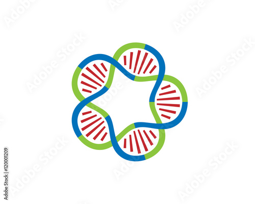 DNA strands Loop 5 parts