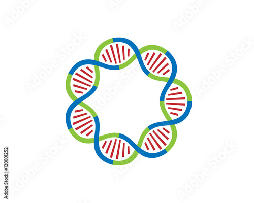 DNA strands Loop 7 parts