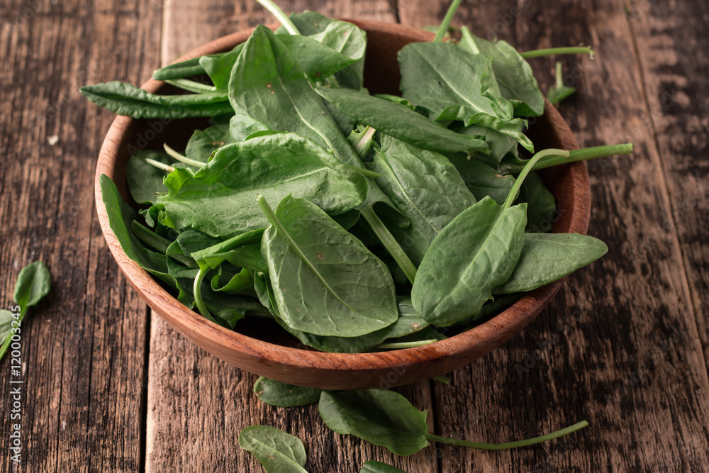 Fresh organic sorrel on table. healthy food Fresh organic sorrel on table. healthy food