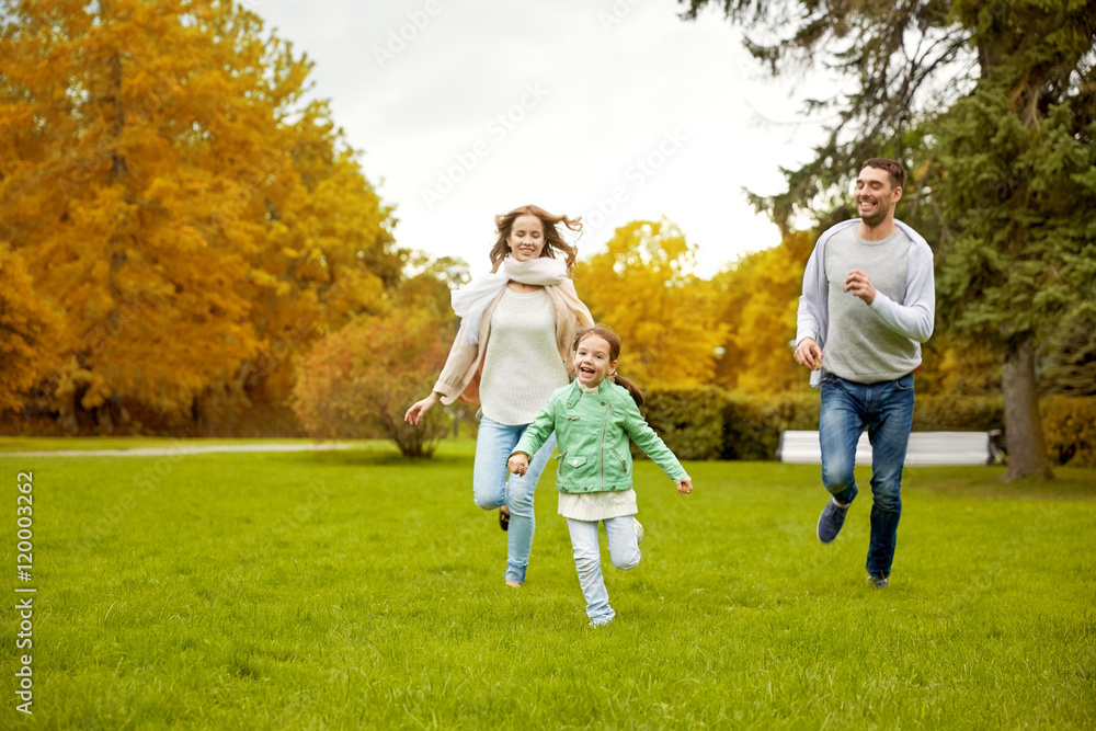 Fototapeta premium happy family walking in summer park