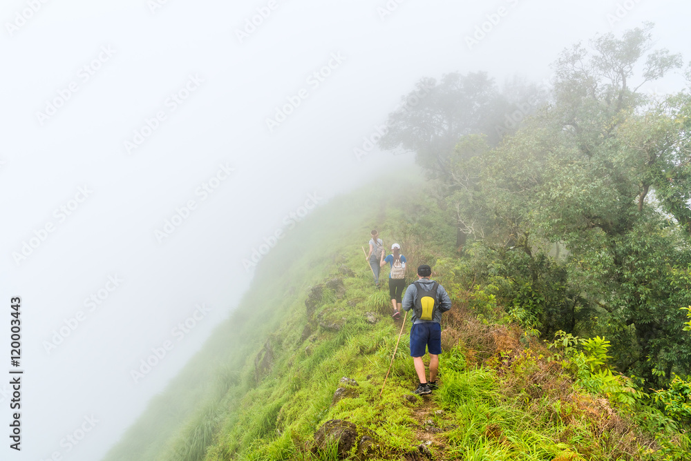 Foggy clouds cover hikers team on top of green mountain ridge.
