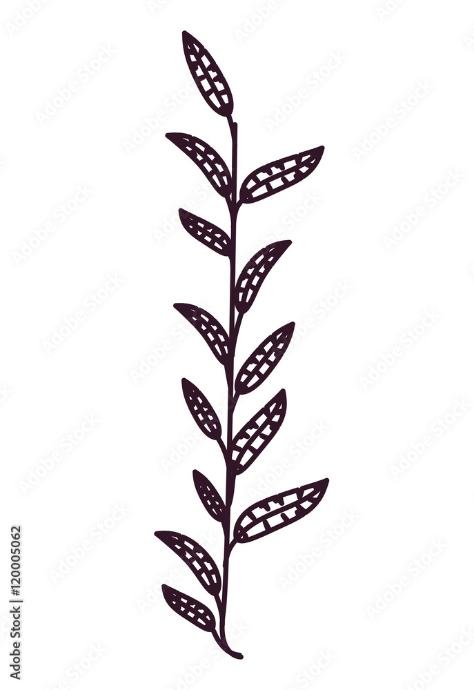 leaf floral garden and silhouette icon. decoration and ornament theme. Isolated design. Vector illustration leaf floral garden and silhouette icon. decoration and ornament theme. Isolated design. Vector illustration