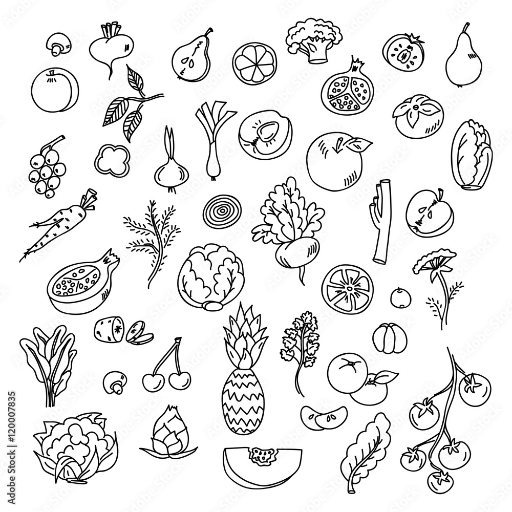 Fototapeta premium Set doodles elements vegetables and fruits. Vegetarian food