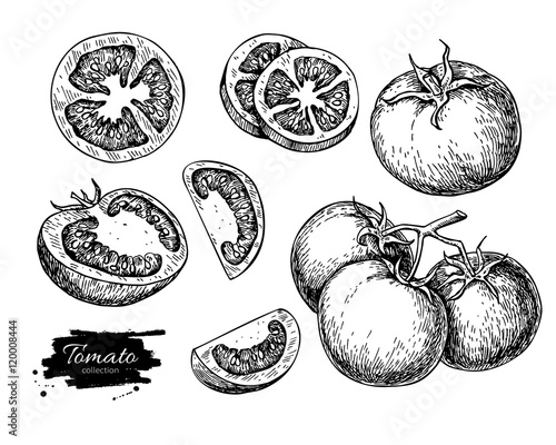 Fotótapéta Tomato vector drawing set. Isolated tomato, sliced piece vegetab