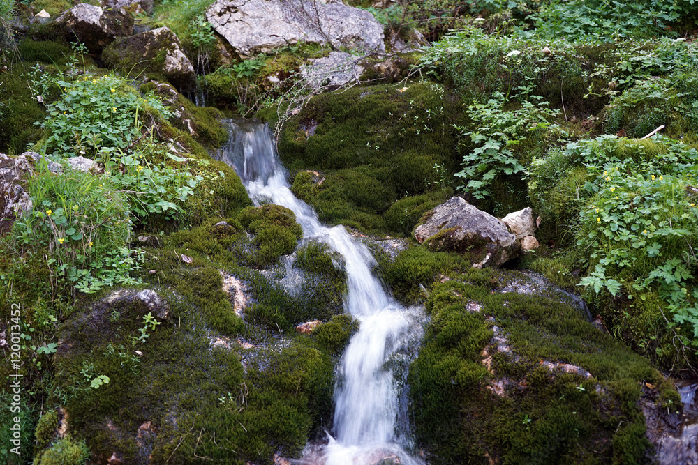 Mountain river Mountain river
