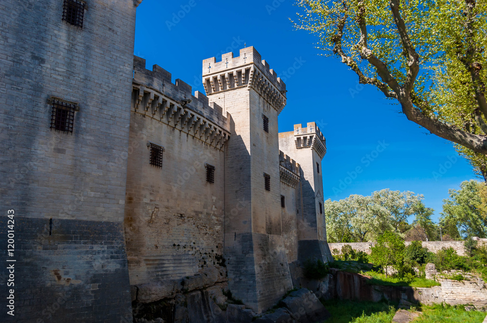 Château de Tarascon. Château de Tarascon.