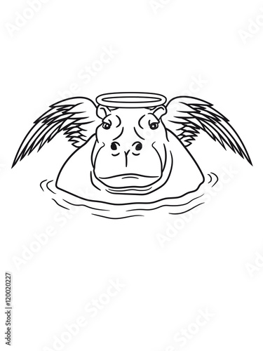 angel wings sweet good halo ring death hippopotamus thick water sky swim thick large lake tümpel comic cartoon photo