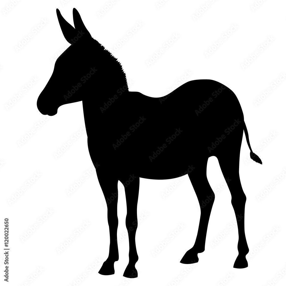 ass black silhouette vector illustration isolated