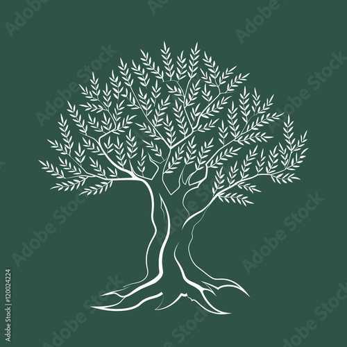 Olive tree outline silhouette icon isolated on green background.
Web graphics stroke modern vector sign. Premium quality illustration logo design concept pictogram.
