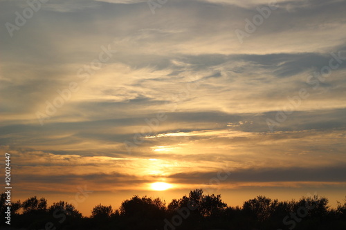 Sunset over clouds and trees