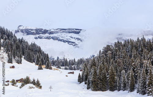 Wallpaper Mural  Ski Resort Laax. Switzerland Torontodigital.ca