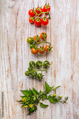 Cherry tomato ripening phases