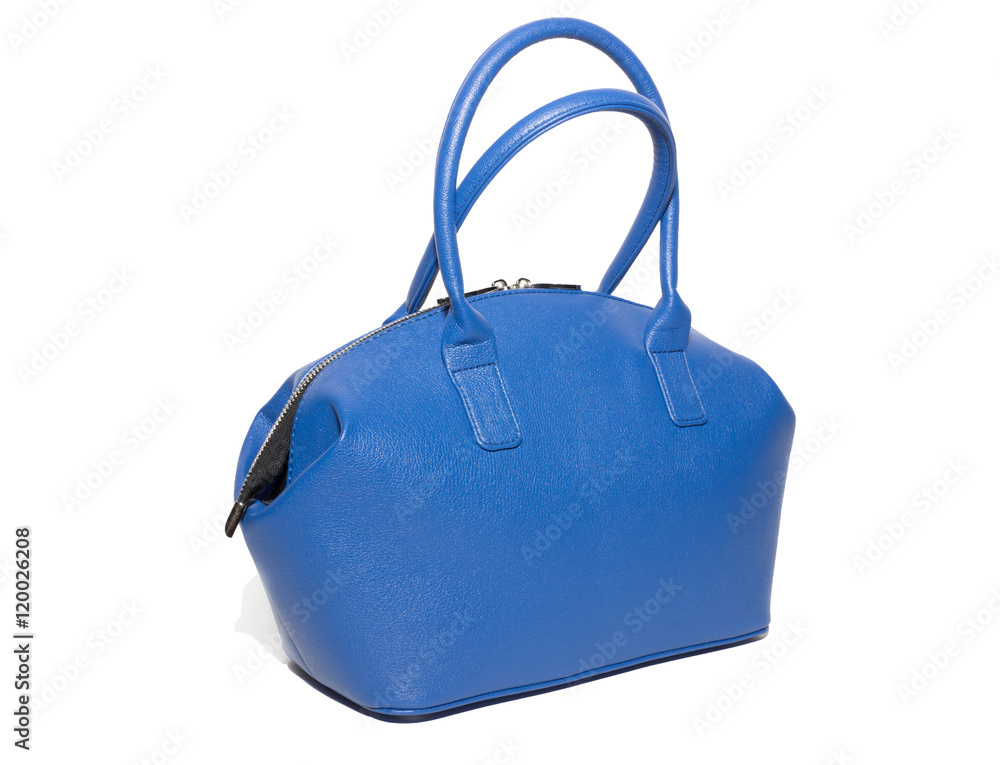 female handbag on a white background female handbag on a white background