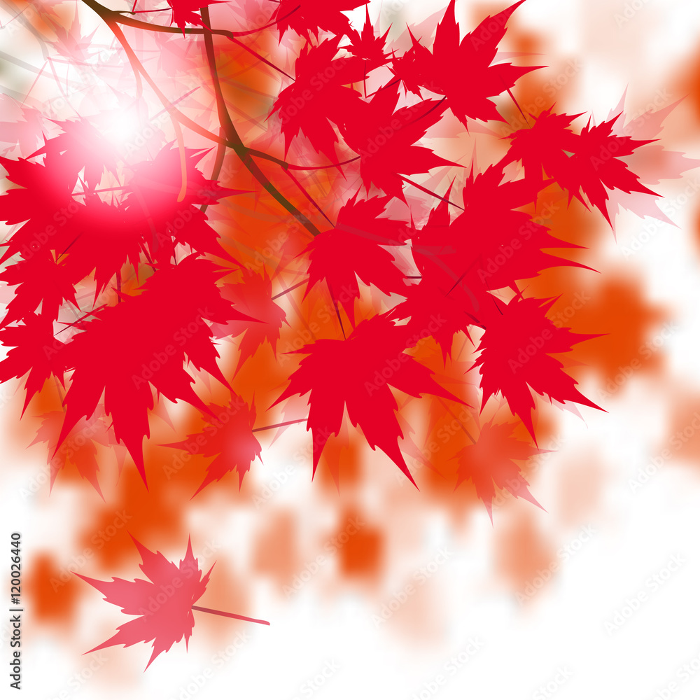 Red maple leaves on the branches. Japanese red maple. Against the background of autumn leaves. illustration Red maple leaves on the branches. Japanese red maple. Against the background of autumn leaves. illustration