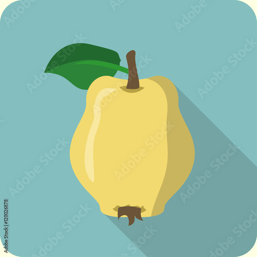Tableau sur toile quince flat icon with long shadow
