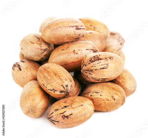 Pecan Nuts In A Shell
