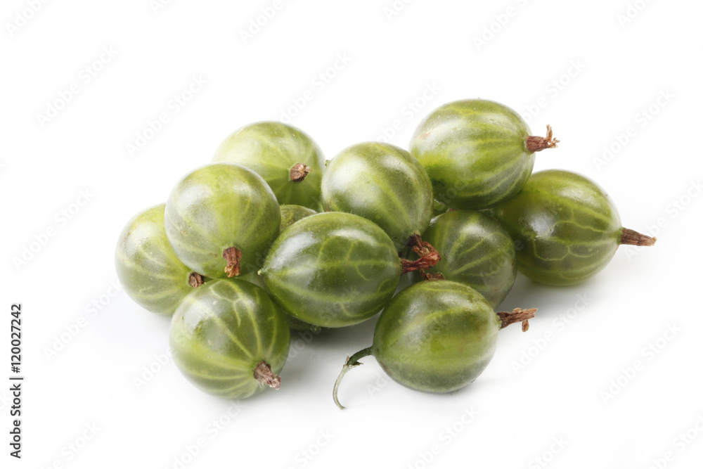 green gooseberry isolated green gooseberry isolated