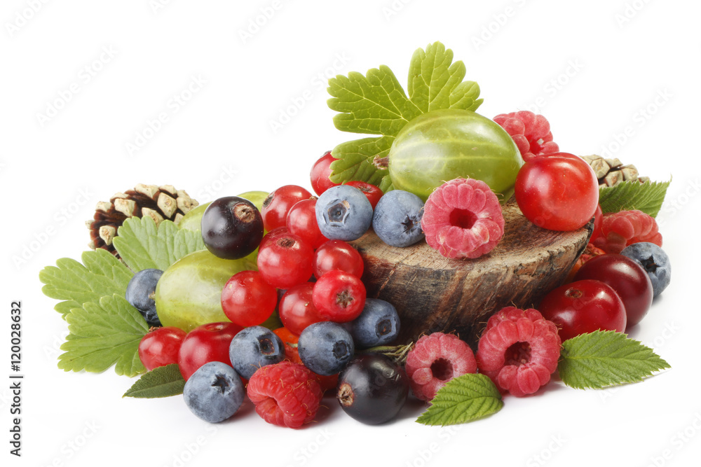 colourful berries isolated colourful berries isolated