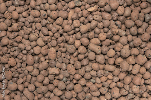 Heat expanded clay pebbles used as a growing media in hydroponics. Background close up of pellets. photo