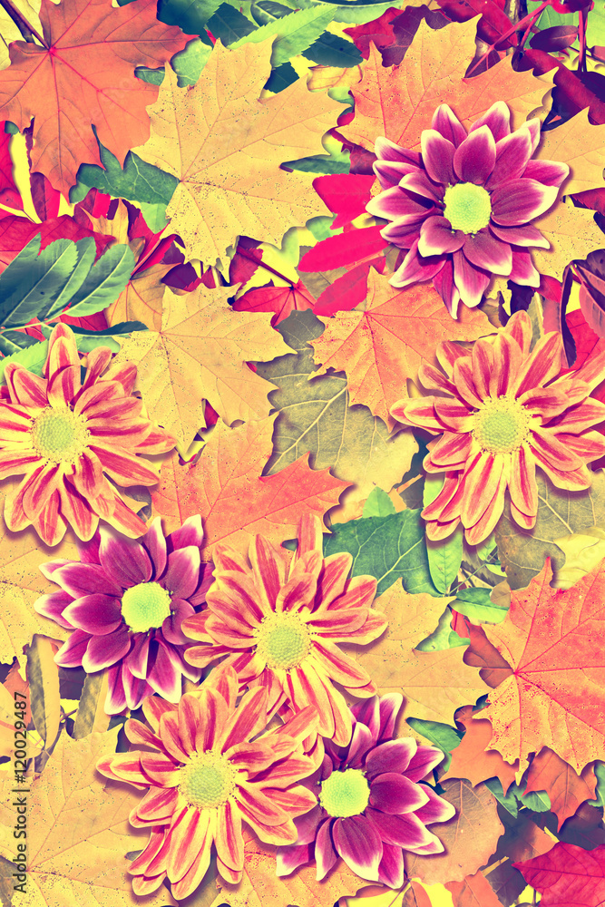 abstract background of autumn leaves abstract background of autumn leaves