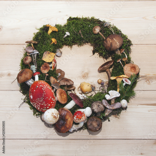 mushrooms on moss wreath on wooden background photo