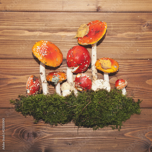 Vászonkép Amanita mushrooms on wooden background