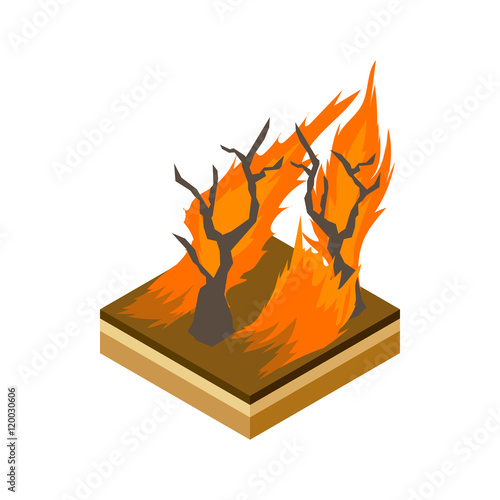 Forest fire icon in cartoon style on a white background vector illustration