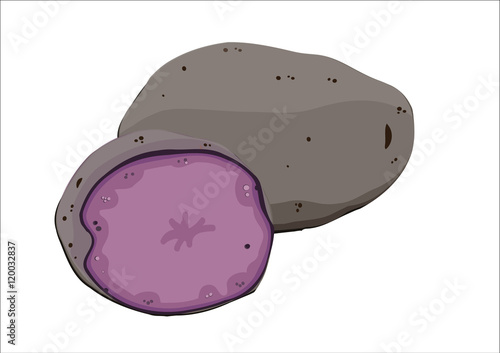 purple potato, illustrated
