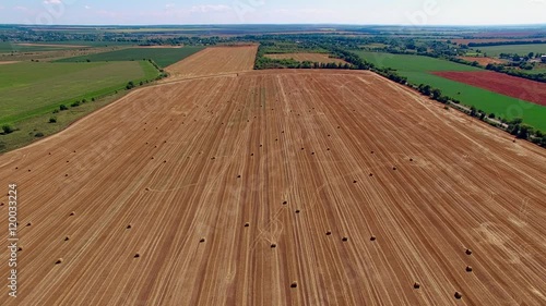 Flight over crop wheat or rye field with stook hay straw bales. Harvest agriculture farm rural landscape aerial 4k video background. Bread production concept. photo