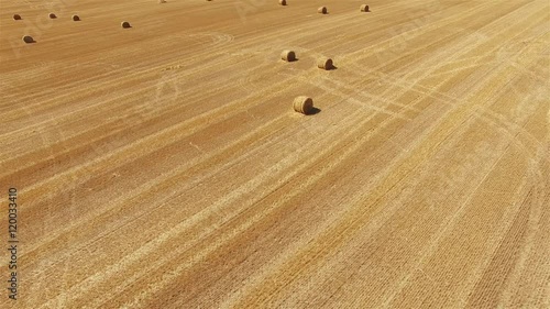 Flight over crop wheat or rye field with stook hay straw bales. Harvest agriculture farm rural panorama aerial 4k video. Bread production concept. photo