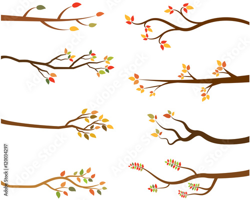 Autumn set of tree branch silhouettes