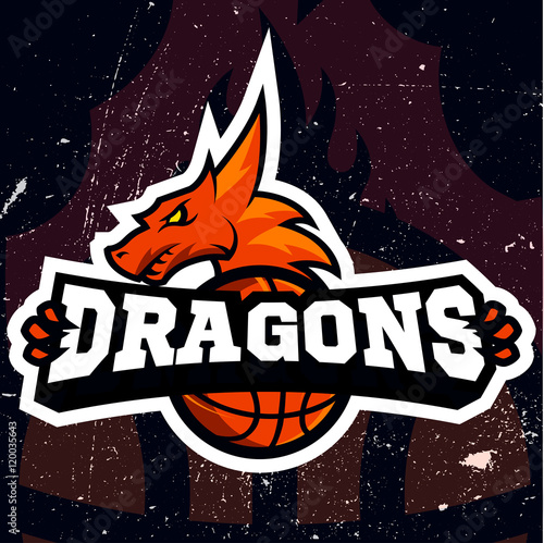 Cuadro en lienzo Dragon sport logo basketball design