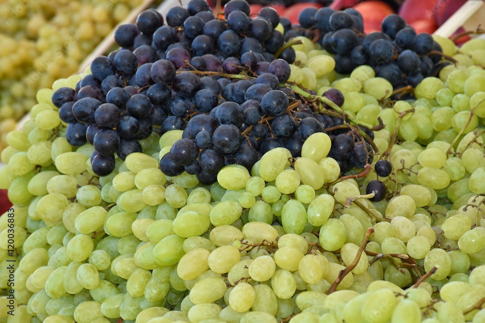 Weintrauben – Blaue und grüne Weinreben am Markt Weintrauben – Blaue und grüne Weinreben am Markt
