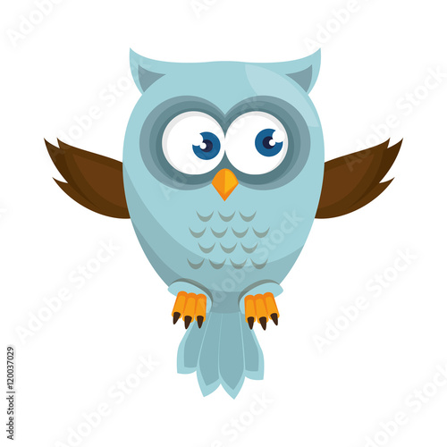 owl bird cartoon animal nature cute wisdom vector illustration