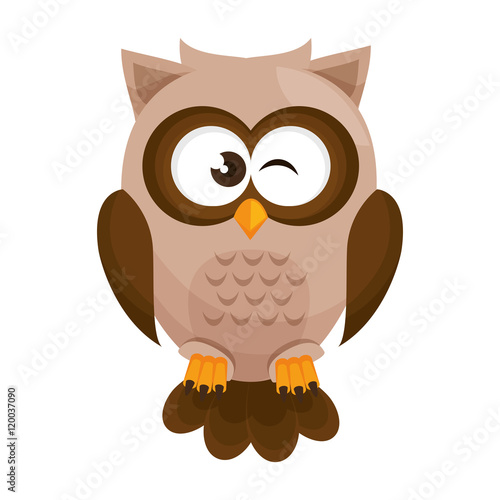 owl bird cartoon animal nature cute wisdom vector illustration
