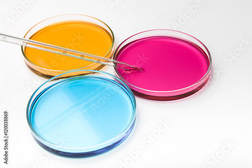 Pipette with drop of color liquid and petri dishes..