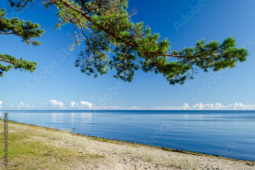 Fototapeta Naklejka Na Ścianę i Meble -  Sandy beach in Jurmala - famous Baltic resort, Latvia, Europe