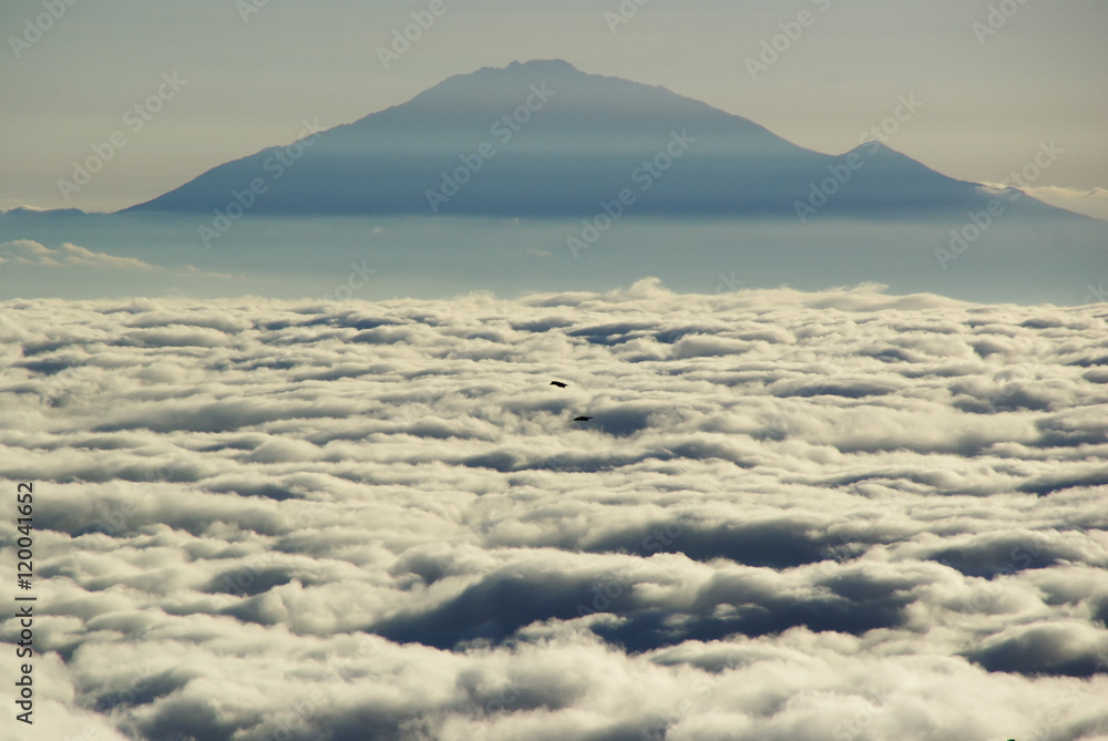 Kilimanjaro: along the Machame route
