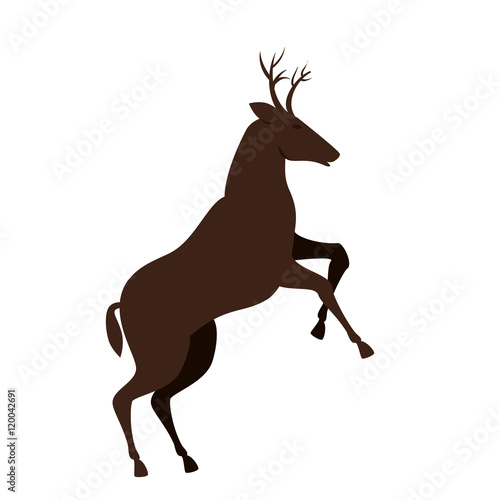 brown deer with horns and running. wildlife animal. vector illustration