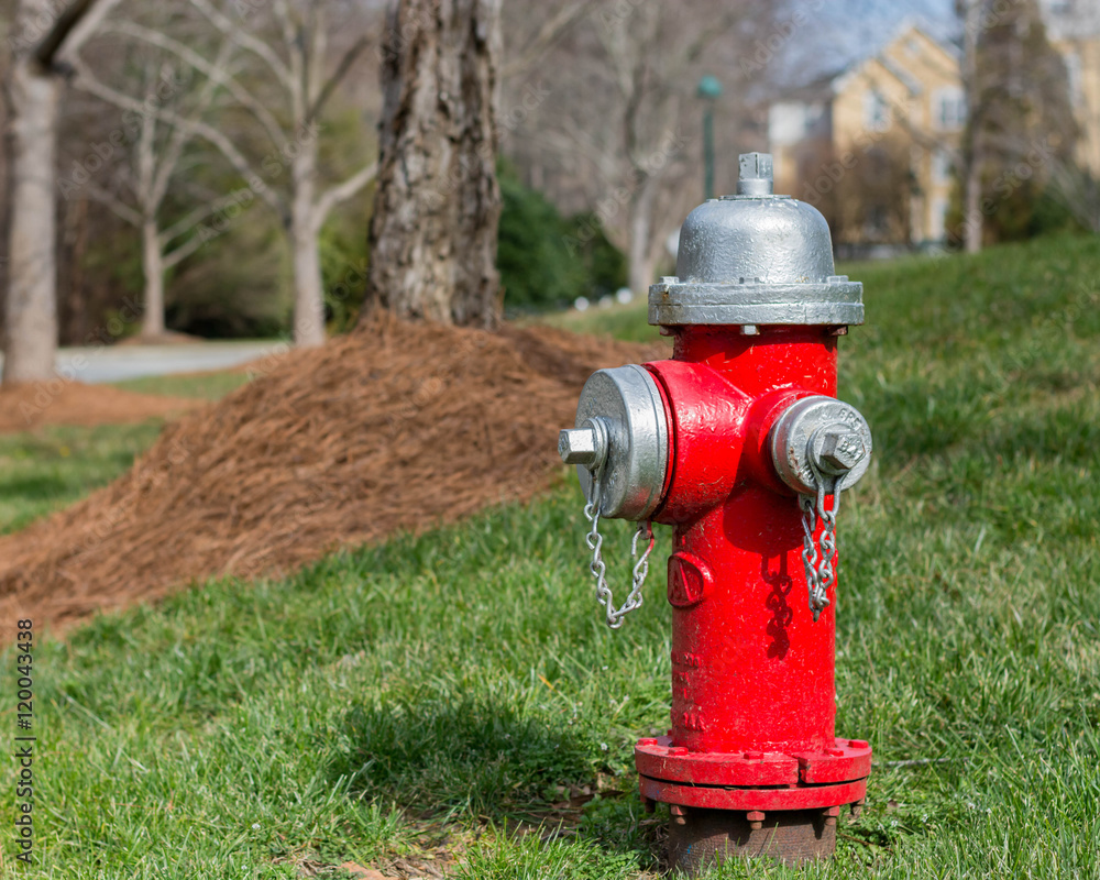 Fire hydrant in a community area.