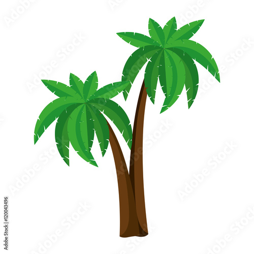 green palm tropical exotic plant. summer symbol. vector illustration 