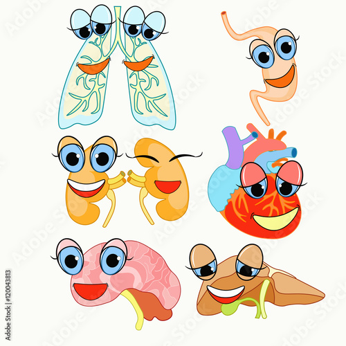 set with cartoon human organs. illustration