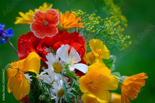Fototapeta Naklejka Na Ścianę i Meble -  Bouquet with blossoming flowers