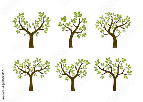 Set of Summer Trees. Vector Illustration. © topor