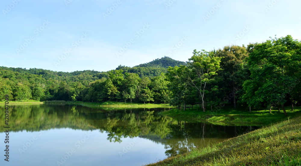 Fototapeta premium Scenic view of lake and forest in morning day,chet khot-pong kon sao nature study center,saraburi city,thailand.