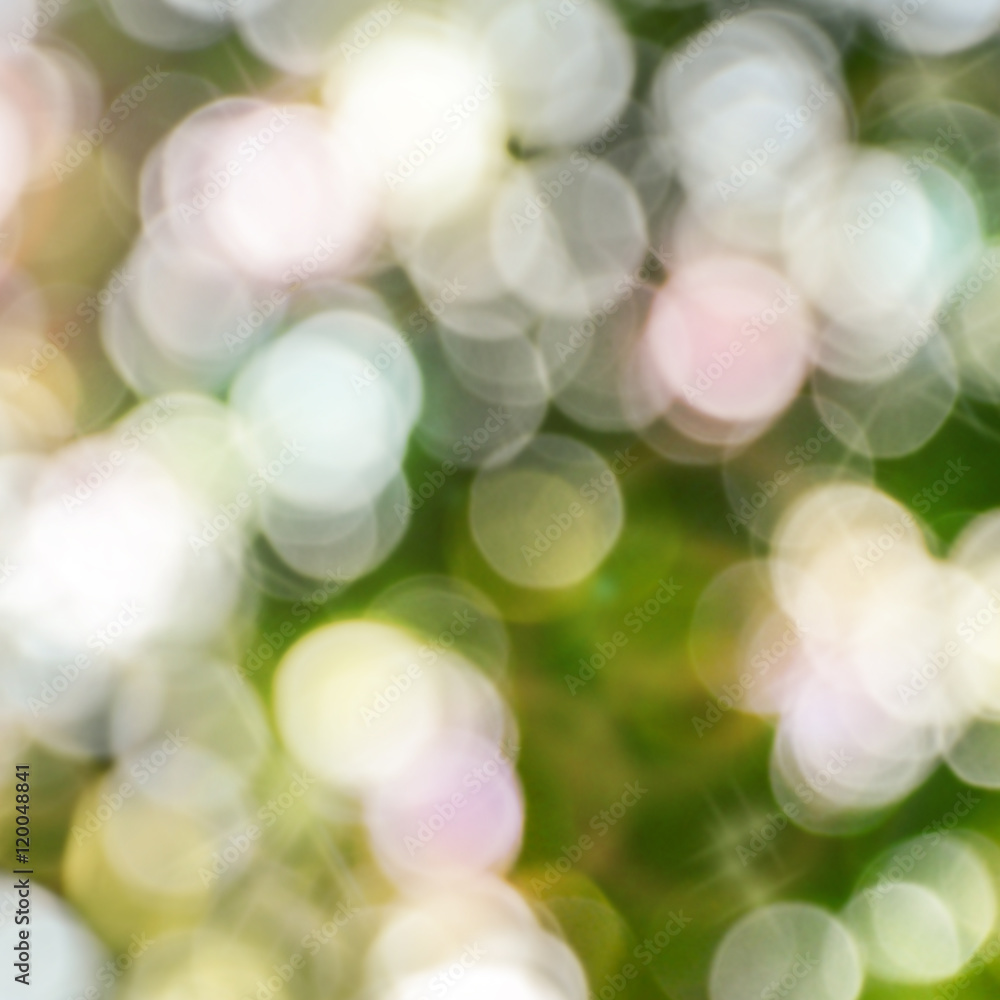 Natural Bokeh Blur. Abstract Nature Background. Natural Bokeh Blur. Abstract Nature Background.