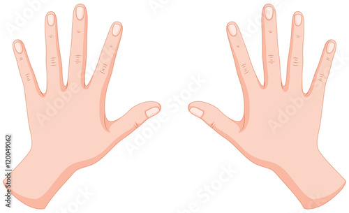 Human hands left and right
