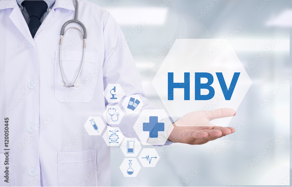 HBV CONCEPT (hepatitis B virus) HBV CONCEPT (hepatitis B virus)